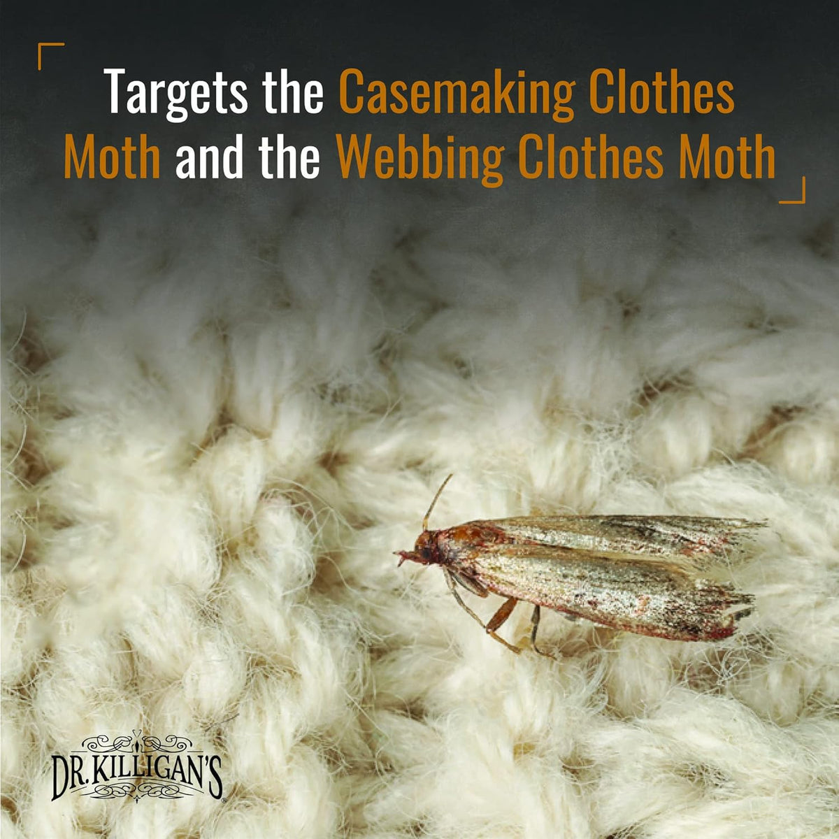 Dr. Killigan’s Moth Traps & Cedar Planks - Clothes Protection Combo – for Preventing and Eliminating Clothing Moths in Closets, Drawers & Storage