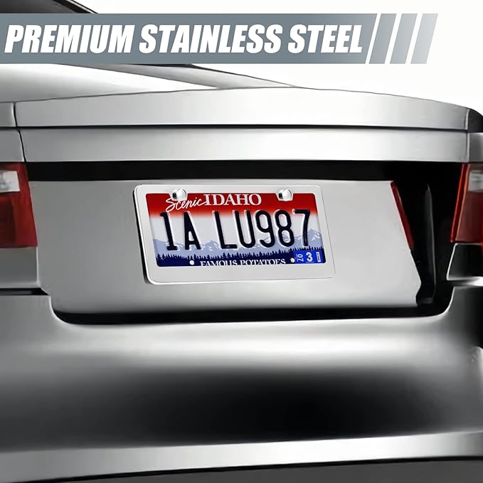 2 Pack License Plate Frames, Stainless Steel Car License Plate Cover Car Accessories with Screw Caps (Silver)