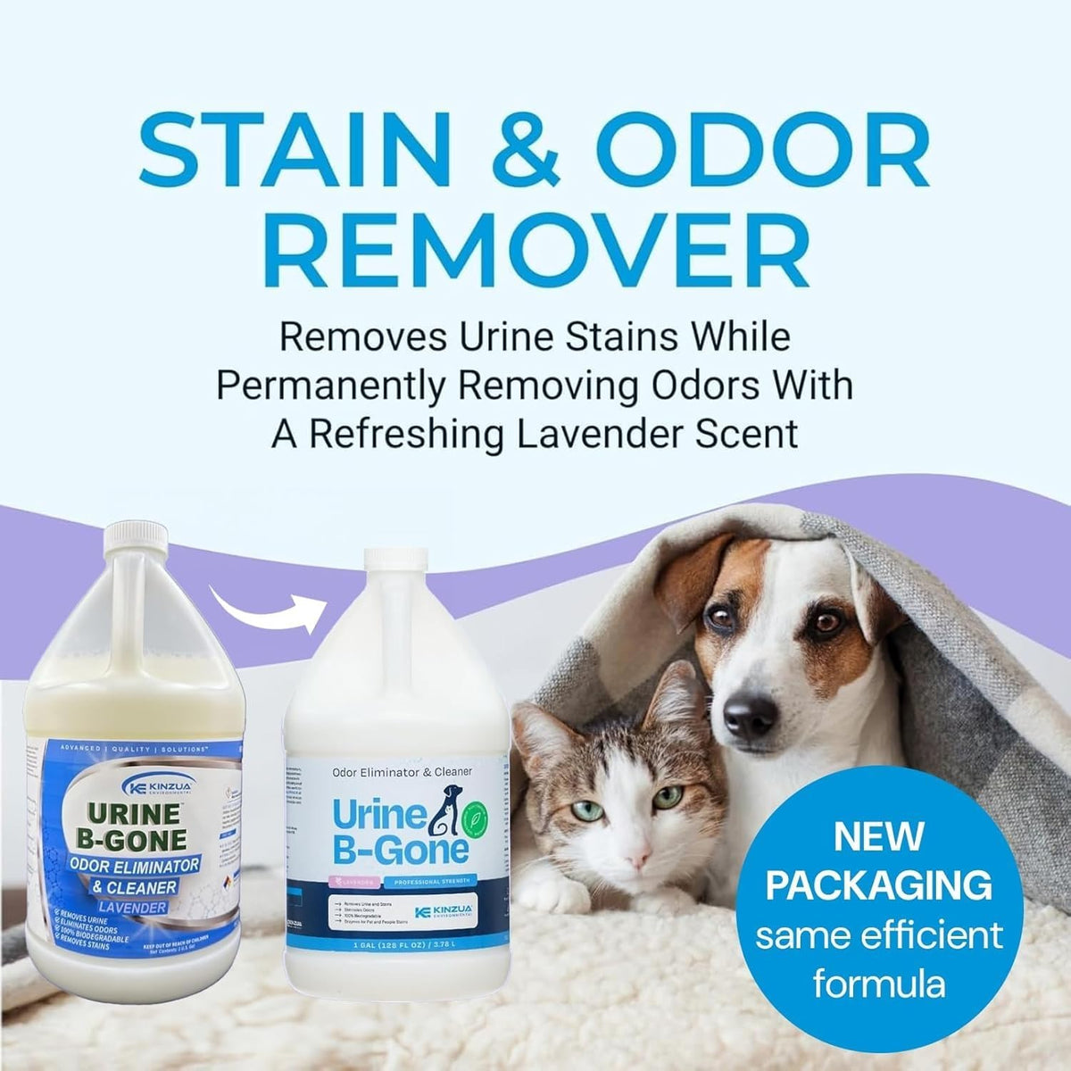 KINZUA ENVIRONMENTAL Urine B-Gone, Professional Enzyme Odor Eliminator & Pet Stain Remover, Human, Cat & Dog Urine Cleaner, Effective on Laundry, Carpets & More, Lavender Scent, 1 Gallon