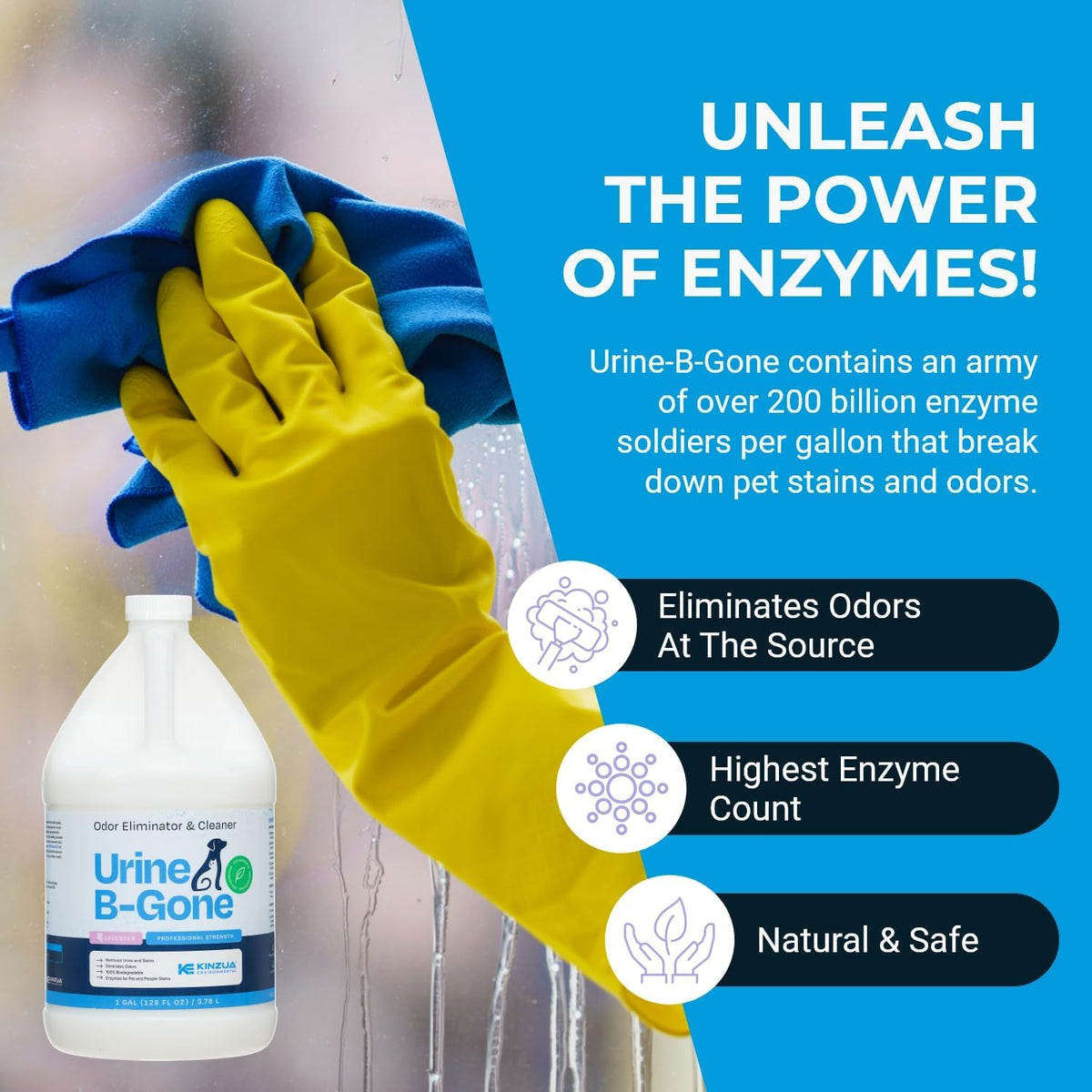 KINZUA ENVIRONMENTAL Urine B-Gone, Professional Enzyme Odor Eliminator & Pet Stain Remover, Human, Cat & Dog Urine Cleaner, Effective on Laundry, Carpets & More, Lavender Scent, 1 Gallon