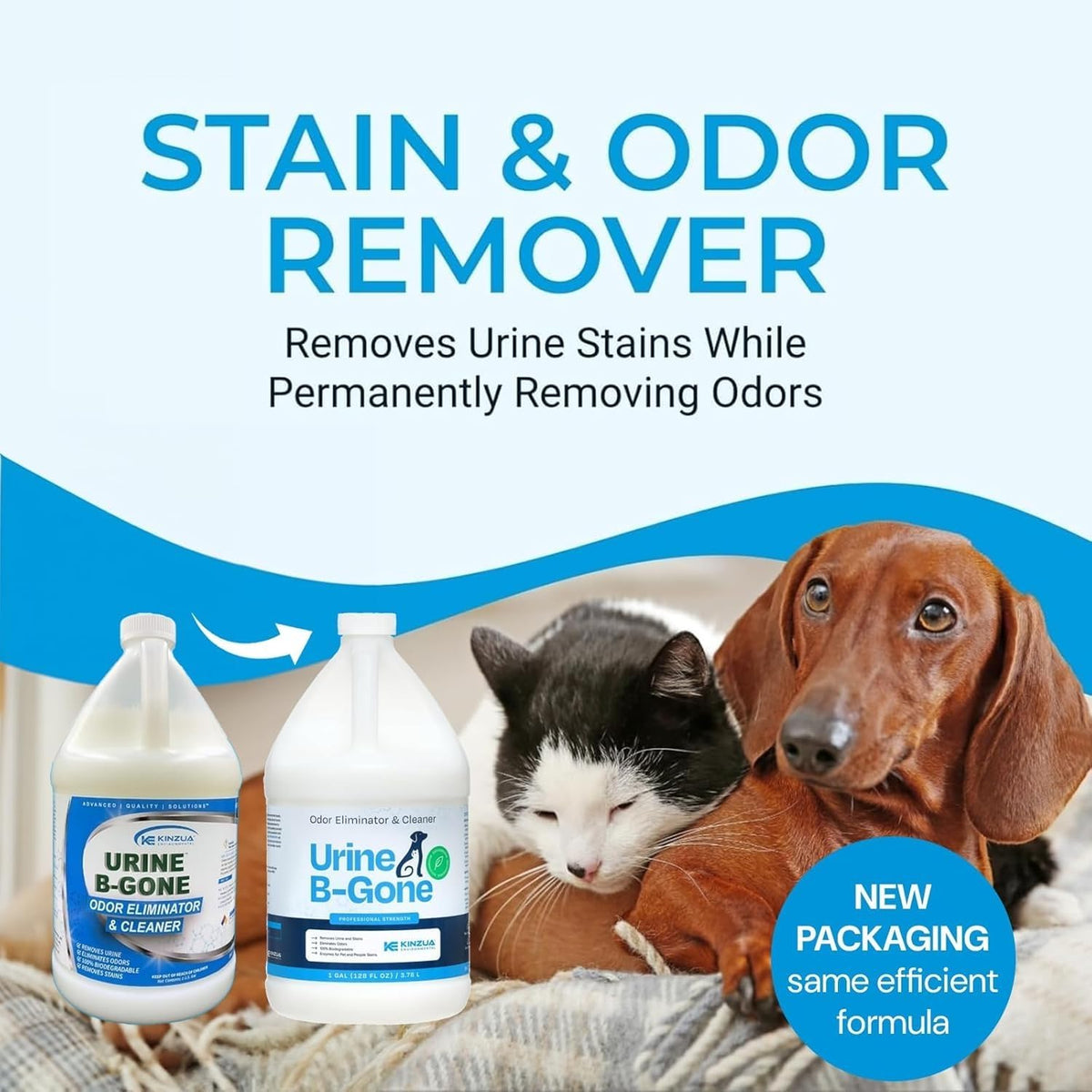 KINZUA ENVIRONMENTAL Urine B-Gone, Professional Enzyme Odor Eliminator & Pet Stain Remover, Human, Cat & Dog Urine Cleaner, Effective on Laundry, Carpets & More, Original Scent, 1 Gallon