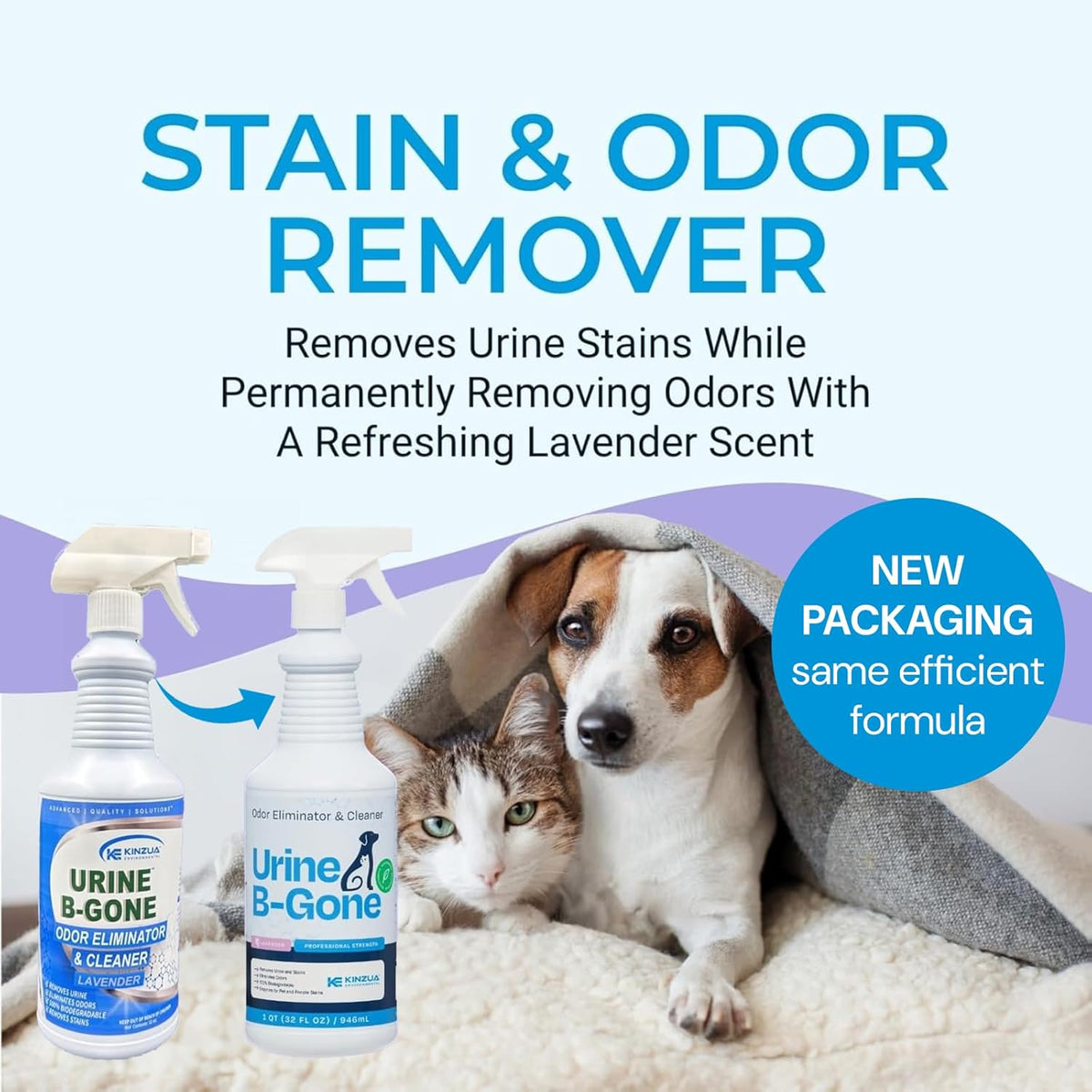 KINZUA ENVIRONMENTAL Urine B-Gone, Professional Enzyme Odor Eliminator & Pet Stain Remover, Human, Cat & Dog Urine Cleaner, Effective on Laundry, Carpets & More, Lavender Scent, 32oz
