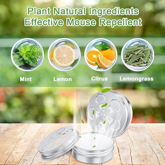 6 Pack Mouse Repellent for Car Engines, Peppermint Oil to Repel Mice and Rats, Mouse Repellent Keep Rodents Out of Car Rat Repellent for House Mice Repellent Outdoor